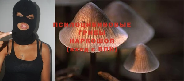 каннабис Дмитриев