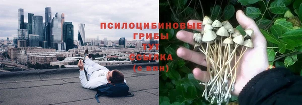 каннабис Дмитриев